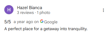 Google Review